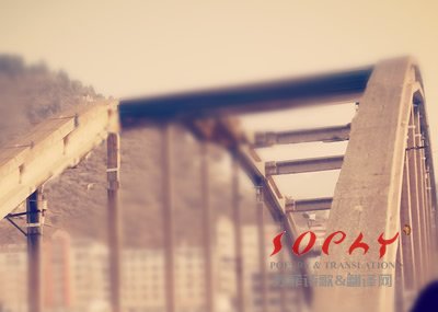 苏菲英语十四行诗之12 Sonnet 12 As if I'd Fallen in Its Waves 