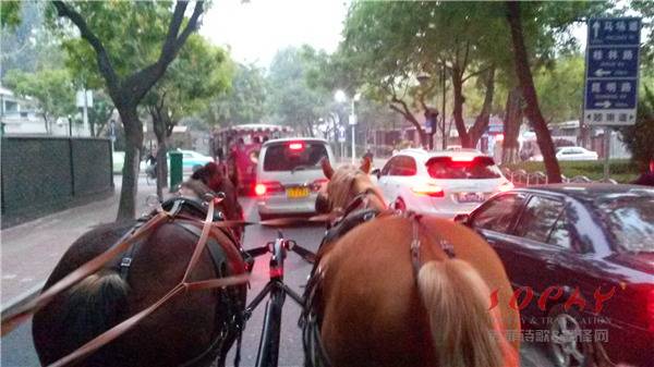 天津五大道观光游（翻译中国”学术研讨会活动2014.10.11）-1