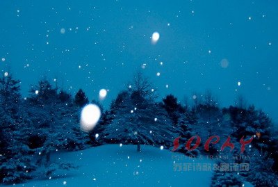 苏菲英语三俳句 Haiku Cozy Life By Sophy Chen