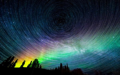 大藏 《如今把自己埋进时间的风里》（苏菲英译）